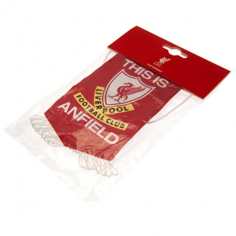 FC Liverpool vlajočka Mini Pennant TIA white