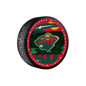 Minnesota Wild puk Medallion Souvenir Collector