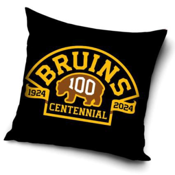 Boston Bruins vankúšik Centennial