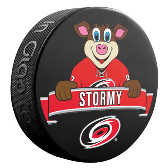 Carolina Hurricanes puk NHL Mascot